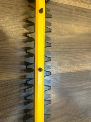 DEWALT - Cortasetos de pértiga XR 18V