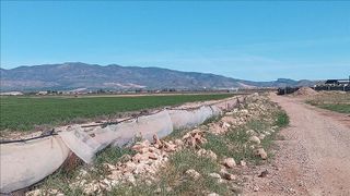 Terreno en venta en Fuente Alamo