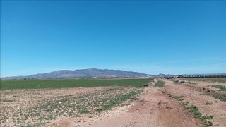 Terreno en venta en Fuente Alamo