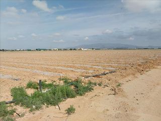 Terreno en venta en Fuente Alamo