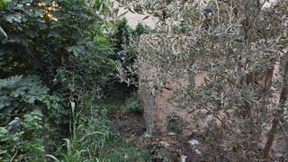 Edificio en venta en Roquetes