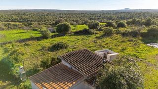 Terreno en venta en Santa Margalida en Santa Margalida