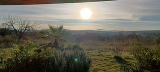 Terreno en venta en Santa Margalida en Santa Margalida