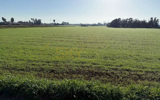 Terreno en venta en Pobla (Sa)