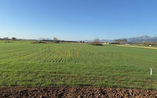 Terreno en venta en Pobla (Sa)