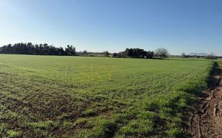 Terreno en venta en Pobla (Sa)