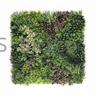 Jardín Vertical Modelo Borneo A - 1 m2