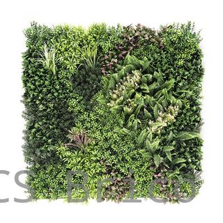 Jardín Vertical Modelo Borneo B - 1 m2