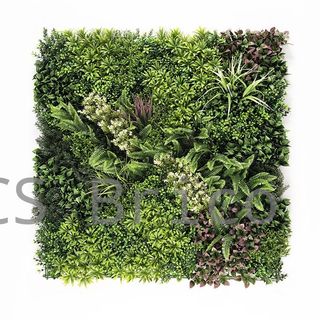 Jardín Vertical Modelo Borneo C - 1 m2