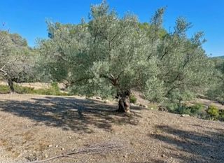 Nave industrial en venta en Artana