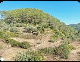 Nave industrial en venta en Artana