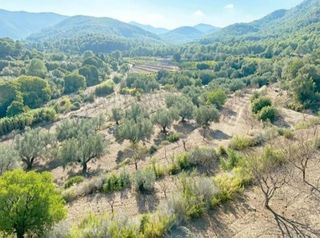 Nave industrial en venta en Artana