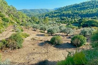 Nave industrial en venta en Artana