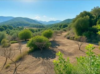 Nave industrial en venta en Artana