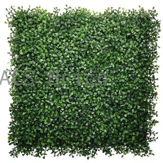 Jardín Vertical Modelo Boj - 1 m2