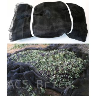Manto Aceitunas Recolección - 80 g/m² - Negro - 5x10 m