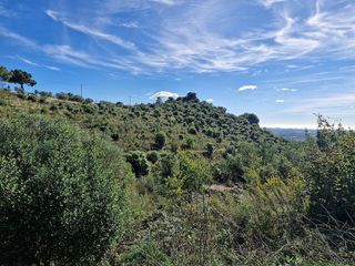 Terreno en venta en Selva del Camp, La