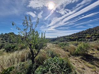 Terreno en venta en Selva del Camp, La