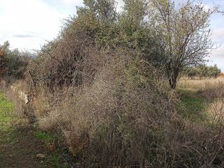 Terreno en venta en Dúrcal