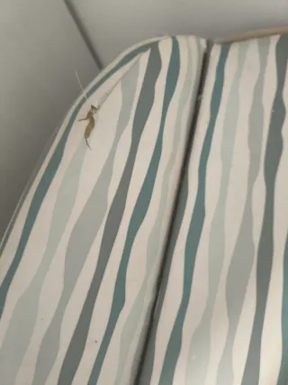 Bañera cambiador Chicco