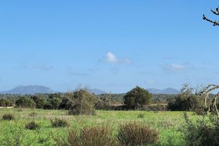 Terreno en venta en Campos