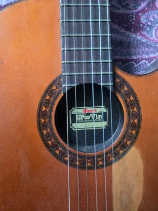 Guitarra Acústica Morris Groovin PA17G