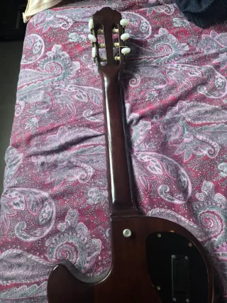 Guitarra Acústica Morris Groovin PA17G