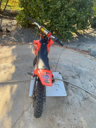 Beta Minicross 50cc Infantil