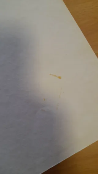 Libro Robin Hood edizione 1965