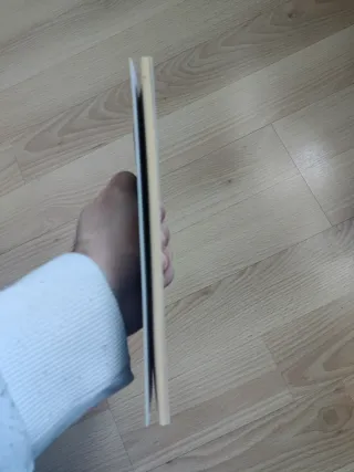 Dino Crisis PS1 Cuadernos de Tácticas Libros 1 y 2