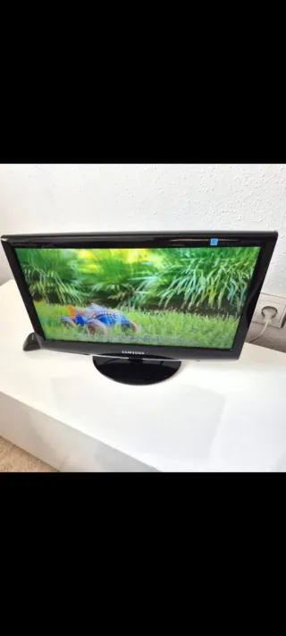 Televisor Samsung 19 Negro