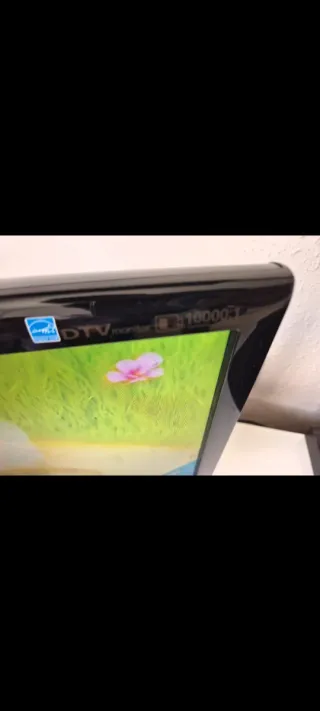 Televisor Samsung 19 Negro