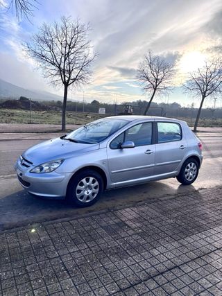 Peugeot 307 XR Clim Plus
