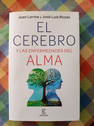 El cerebro y las enfermedades del alma