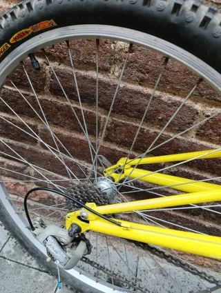 Proflex Reptile Girvin Bicicleta Montaña