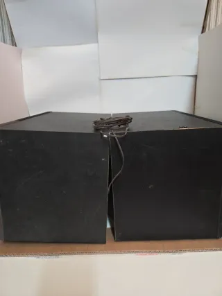 2 Altavoces Negro y Marrón