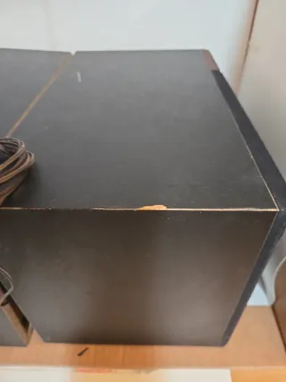 2 Altavoces Negro y Marrón