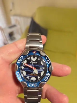 Reloj Citizen Eco-Drive Buceo 200m