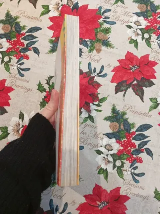 Ryuhei Tamura short stories. Beelzebub inferno....