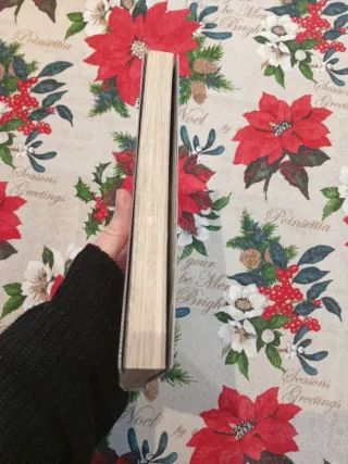 Flame of Recca, Vol. 24