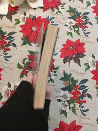 Flame of Recca, Vol. 24