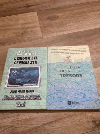 L'enigma del crononauta (Narrativa juvenil) (Ca...