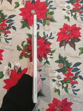 Un aprenent i el seu déu