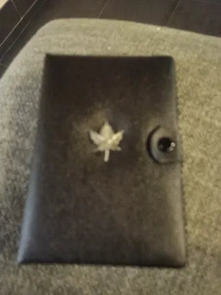 Monete Canada Divisionale 1982