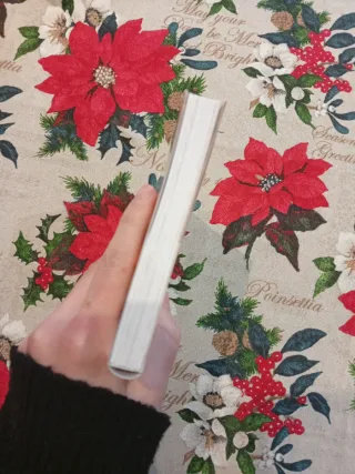 FOUR KNIGHTS OF THE APOCALYPSE 1