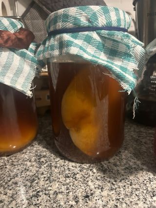 SCOBY