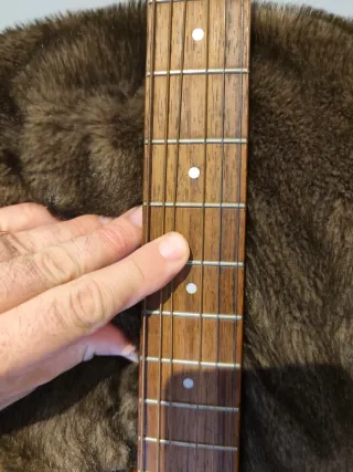 Guitarra Acústica Seagull Entourage Rustic