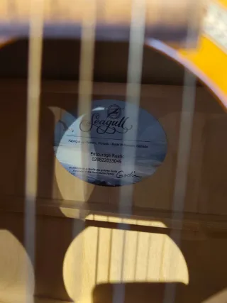 Guitarra Acústica Seagull Entourage Rustic
