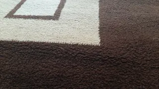 Alfombra Lana Virgen 170x240