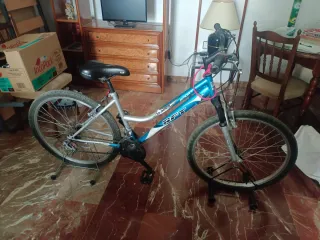 Bicicleta pequeña-mediana